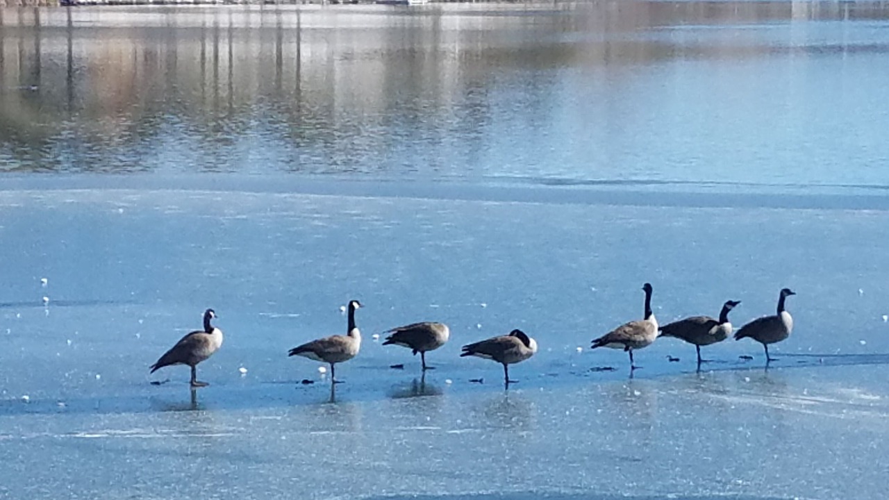 Photo of Others in Pagosa Springs