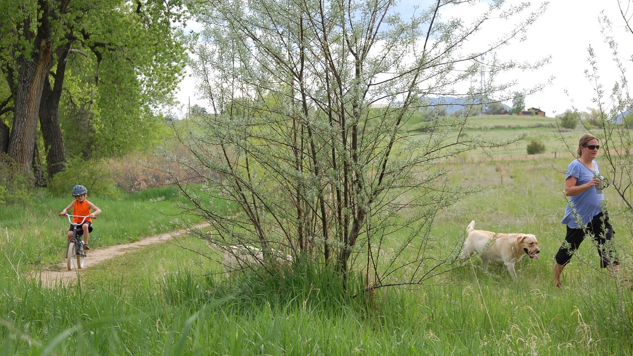 Photo of Others in Louisville