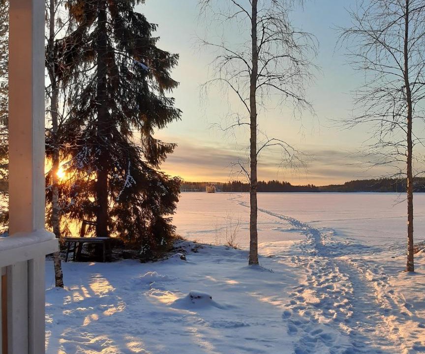 Photo of Others in Lapinlahti