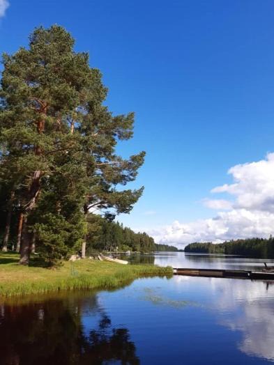 Photo of Others in Tahkovuori