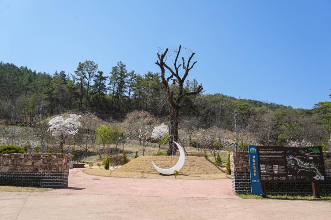 Photo of Others in Cheongsong