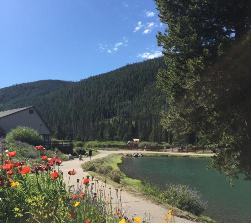 Photo of Others in Lakeside Village