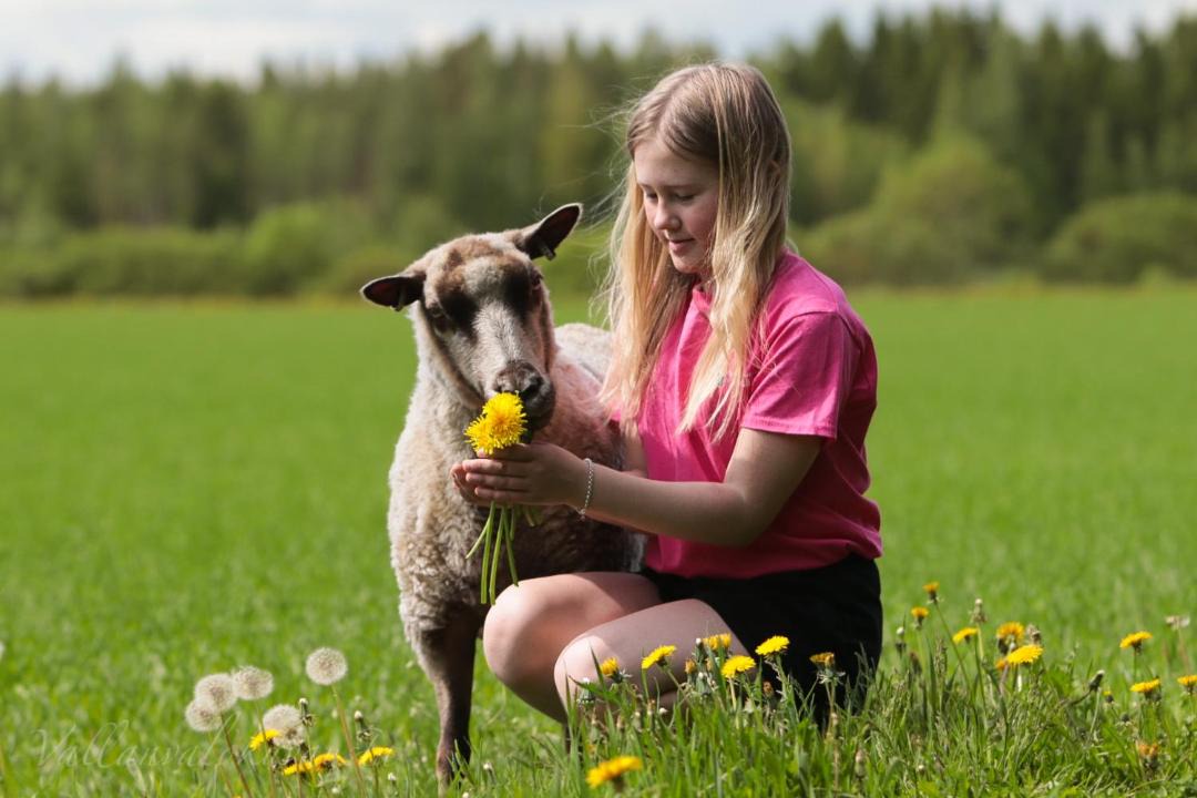 Photo of Others in Peraseinajoki