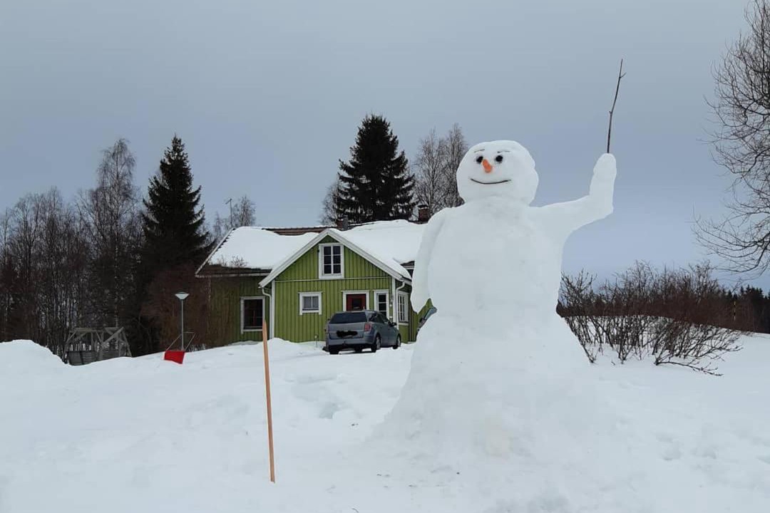 Photo of Others in Lapinlahti