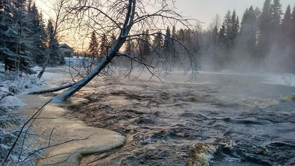 Photo of Others in Sonkajarvi