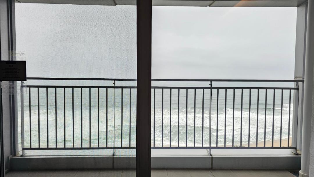 Photo of Others in Gangneung