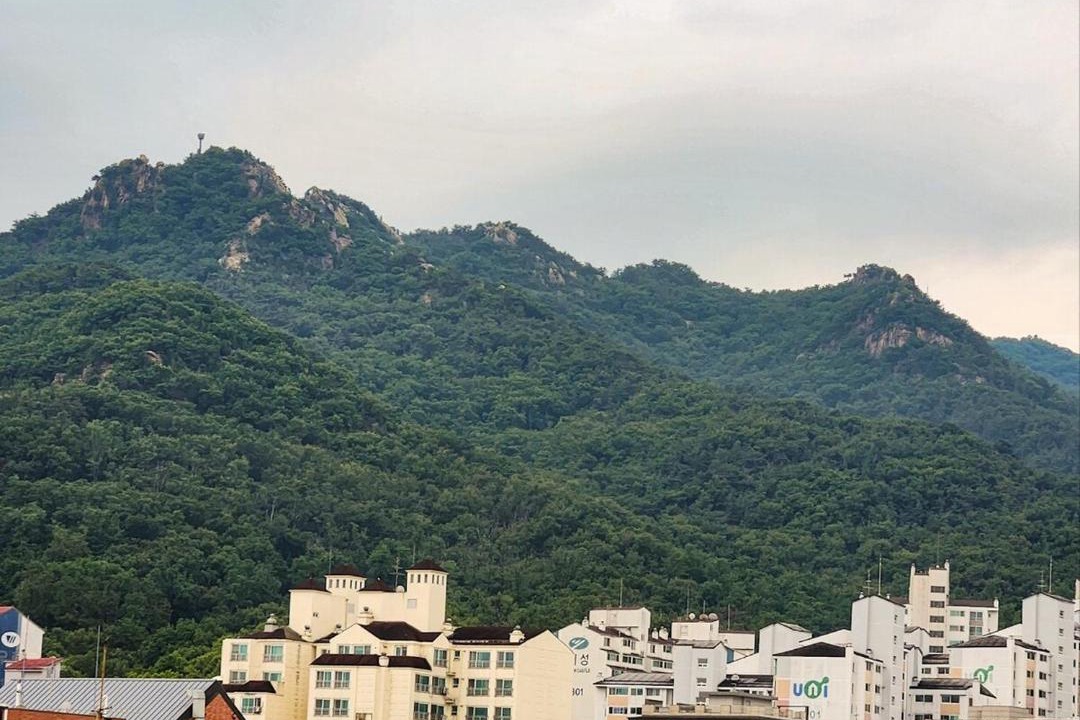 Photo of Others in Seocho-gu