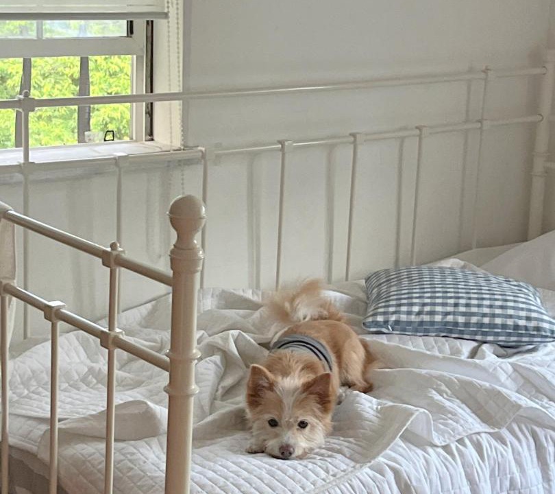 Photo of Bedroom in Dunnae