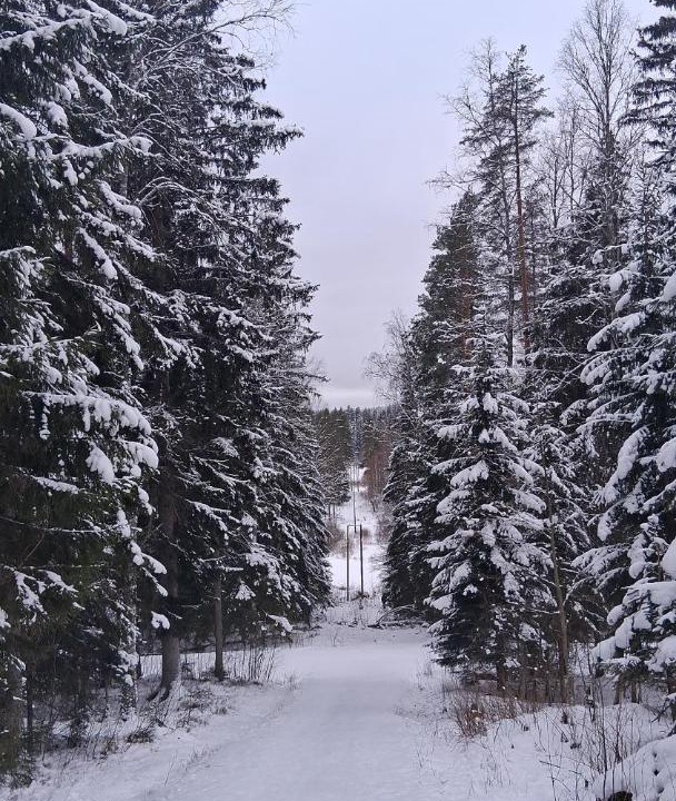 Photo of Others in Jyvaskyla