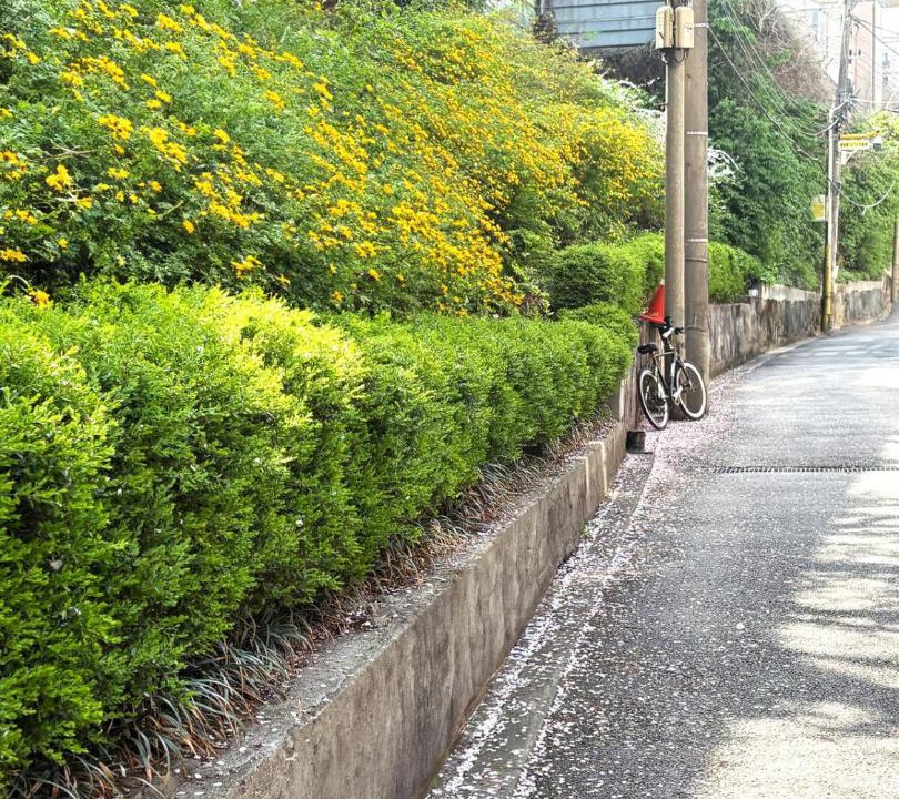 Photo of Outdoor in Sinchon-dong