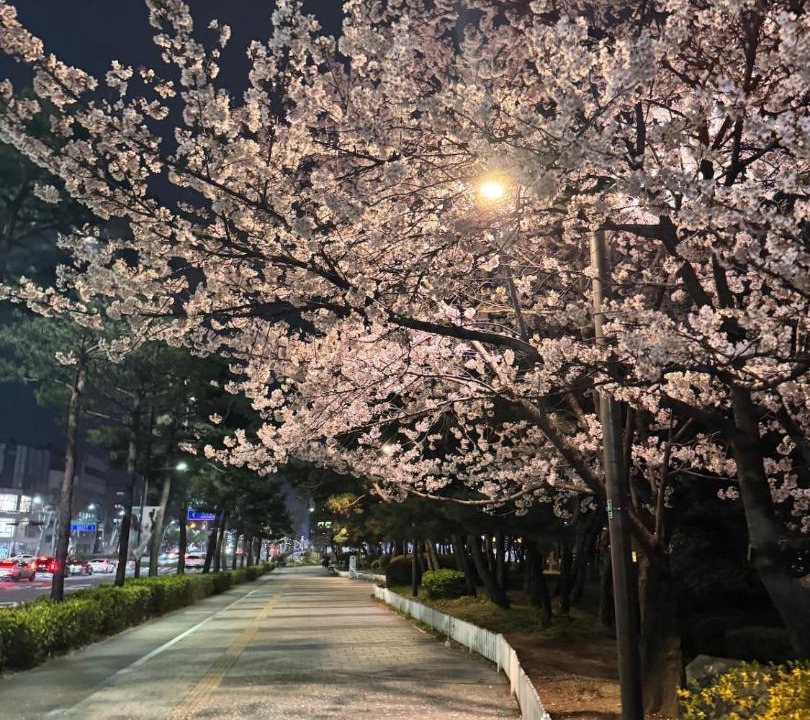 Photo of Others in Cheonho-dong