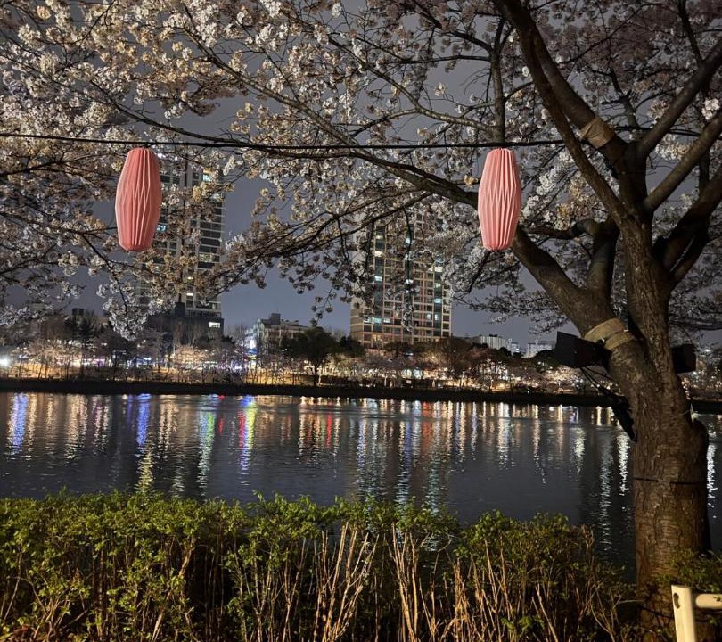 Photo of Others in Cheonho-dong