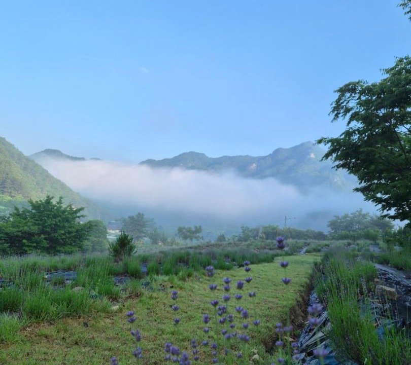 Photo of Others in Uljin