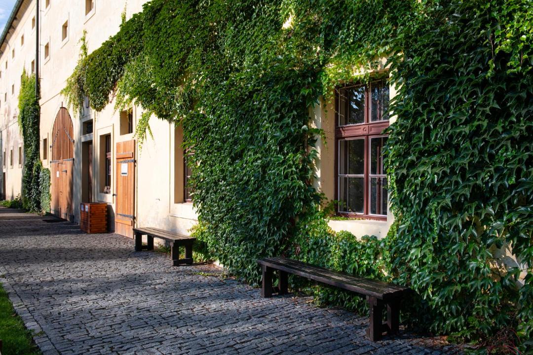 Photo of Others in Brevnov