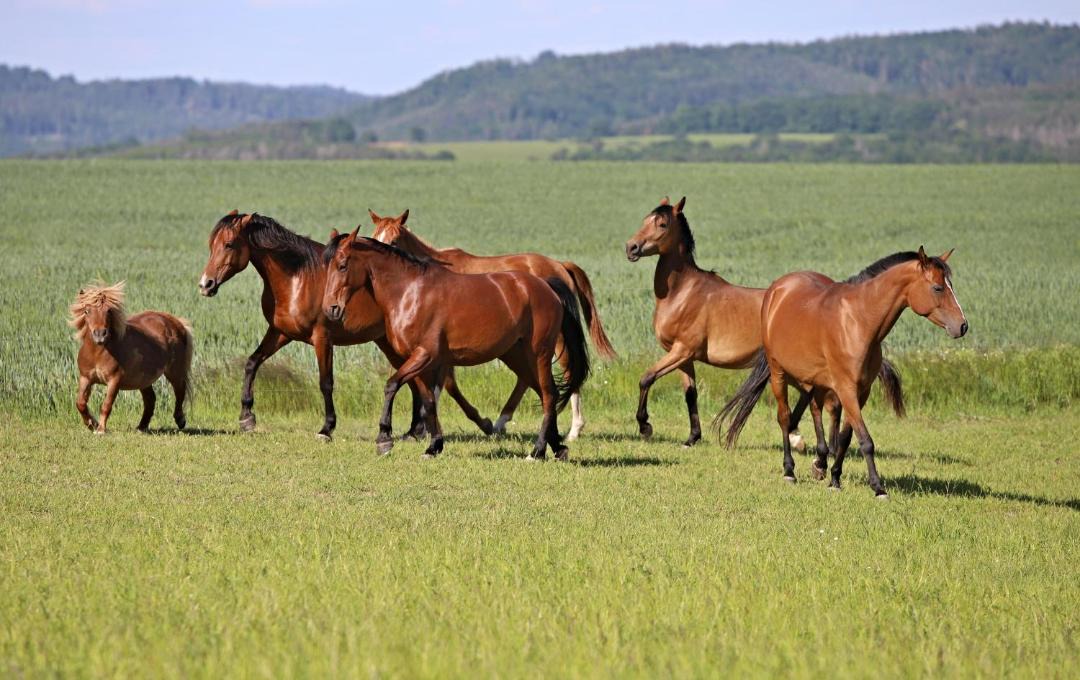 Photo of Others in Netvorice