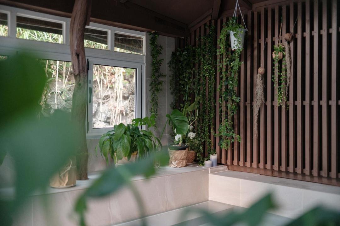 Photo of Others in Jocheon