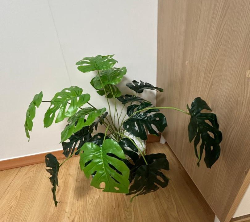 Photo of Others in Pyeongtaek