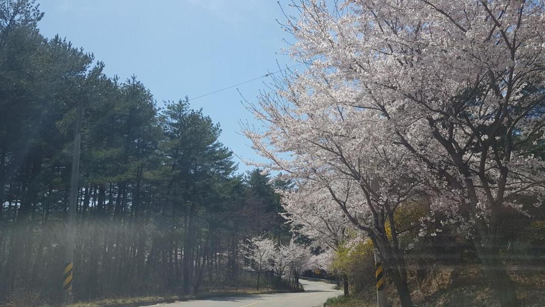 Photo of Outdoor in Gangneung