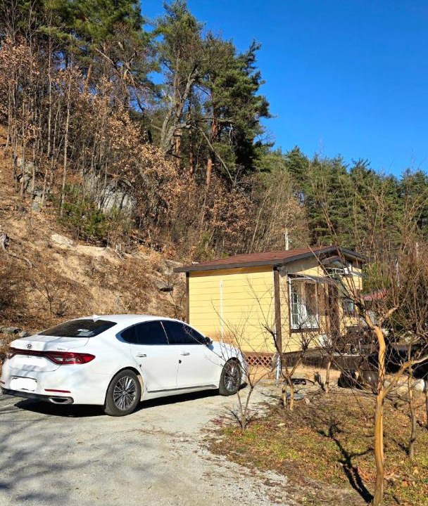 Photo of Others in Gangneung