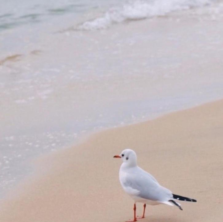 Photo of Others in Haeundae