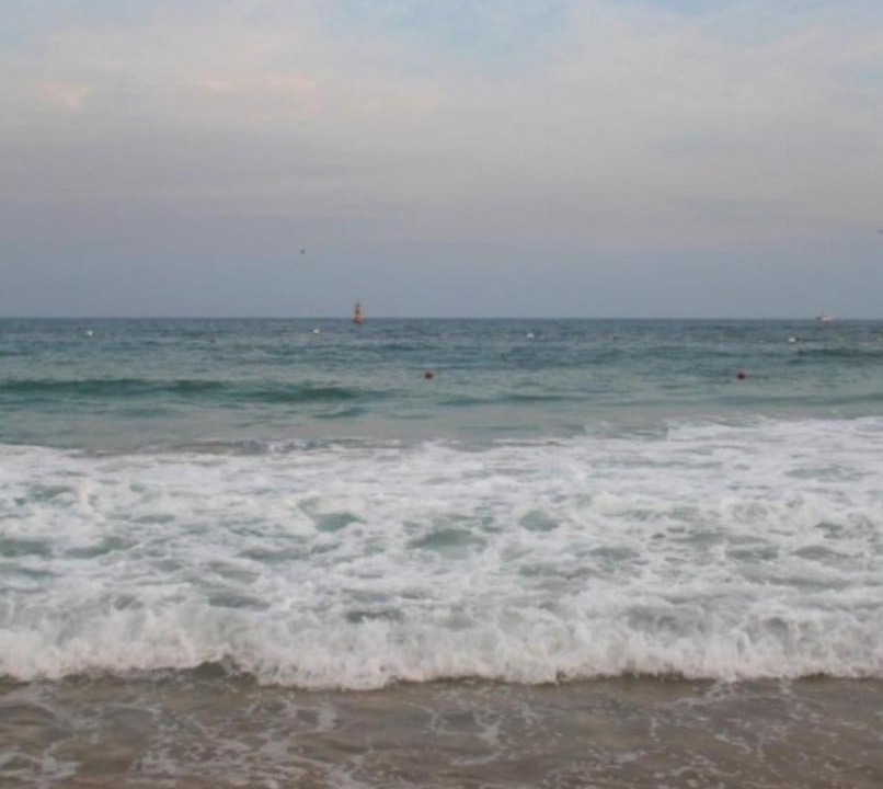 Photo of Others in Haeundae