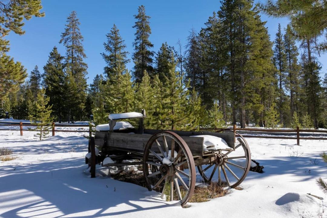 Photo of Others in Pole Creek Meadows