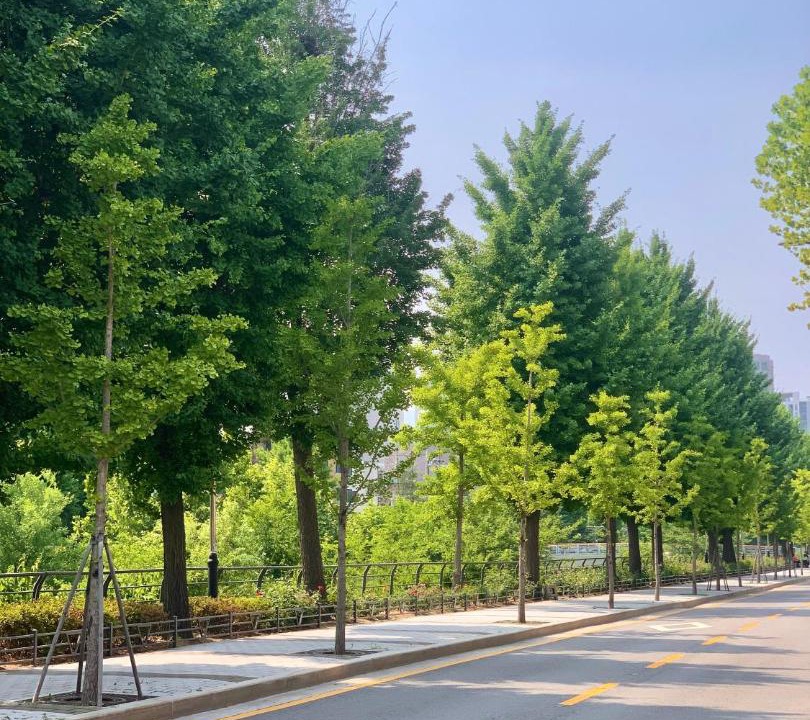 Photo of Outdoor in Anam-dong