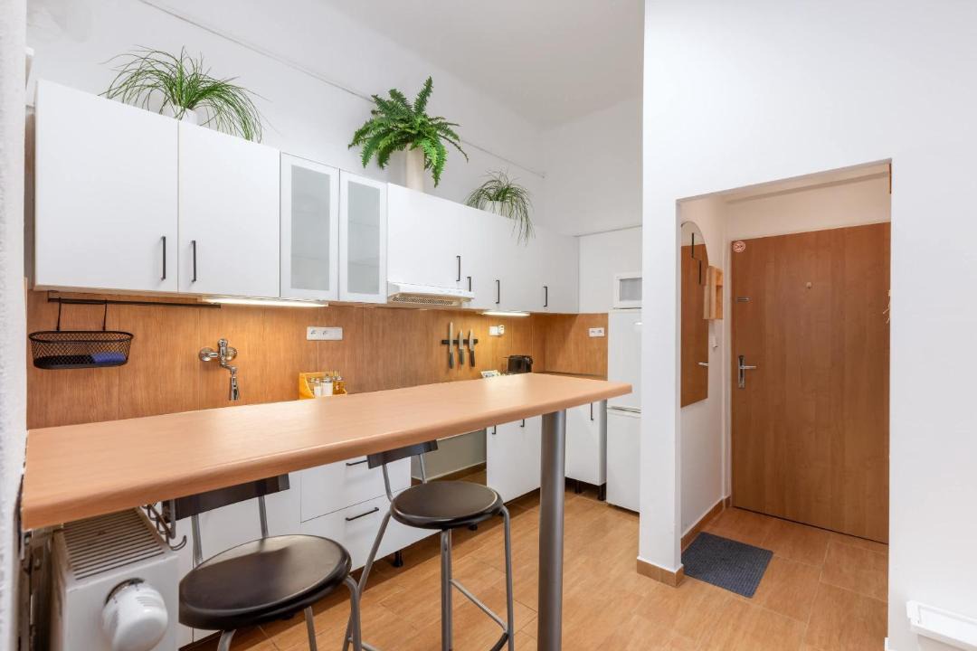 Photo of Kitchen in Bubenec