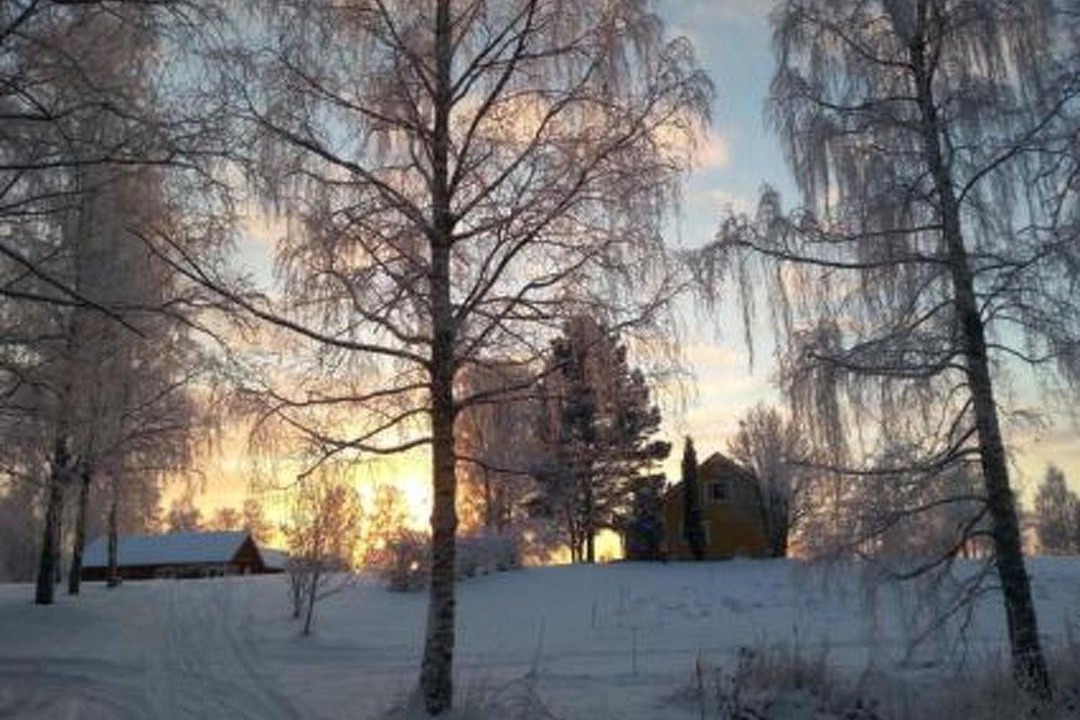 Photo of Others in Suonenjoki