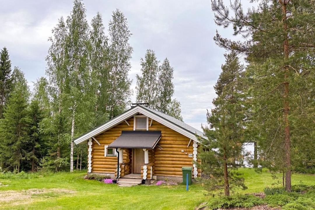 Photo of Others in Lapinlahti