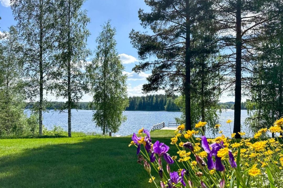 Photo of Others in Lapinlahti