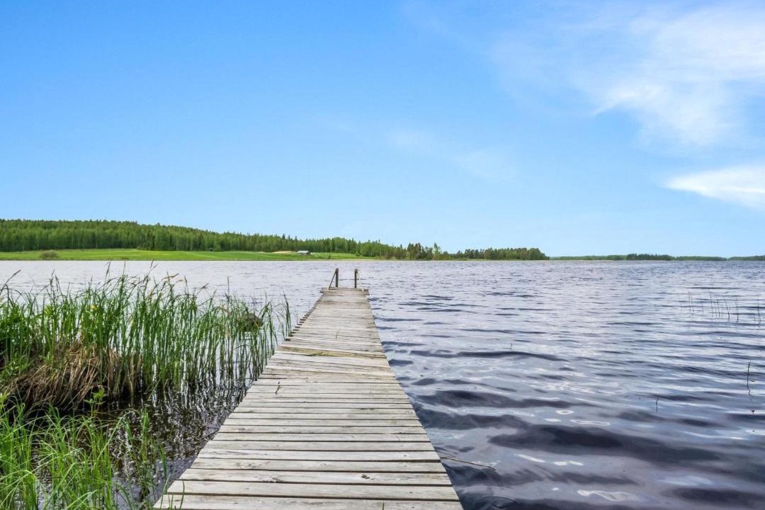 Photo of Others in Lapinlahti