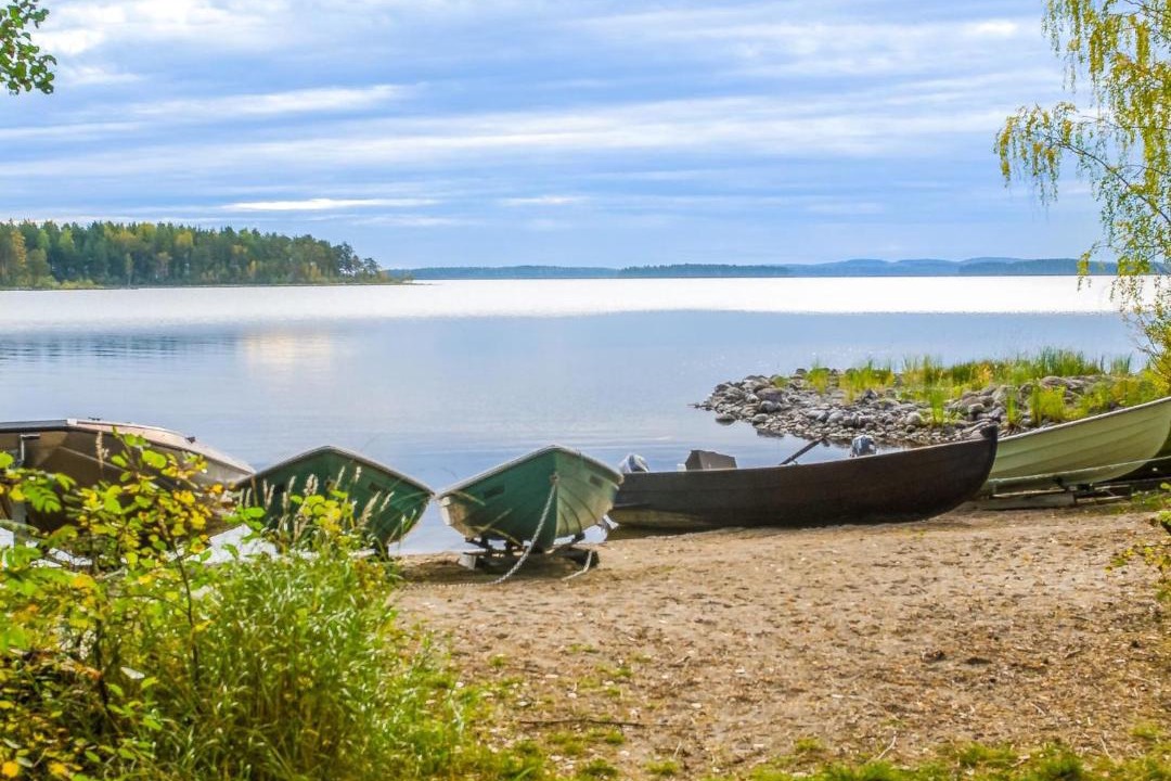 Photo of Others in Koli National Park