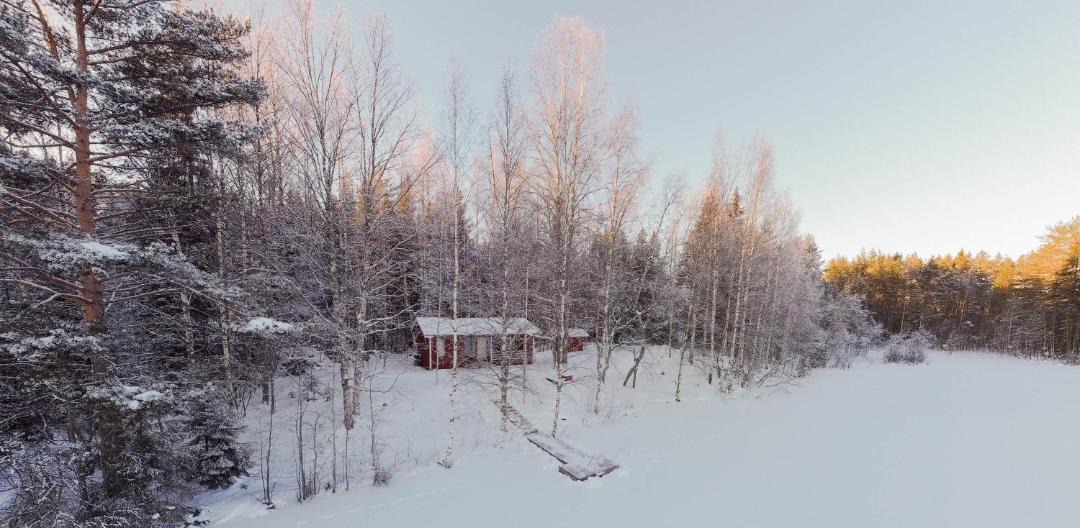 Photo of Others in Koli National Park