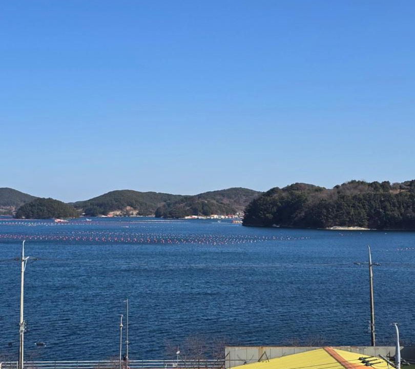 Photo of Others in Tongyeong