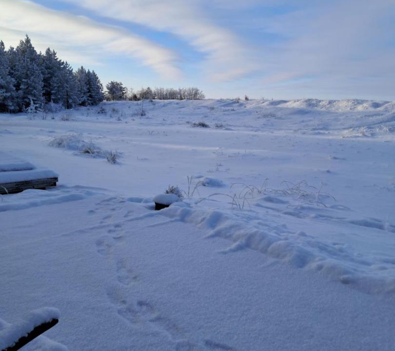 Photo of Others in Hailuoto