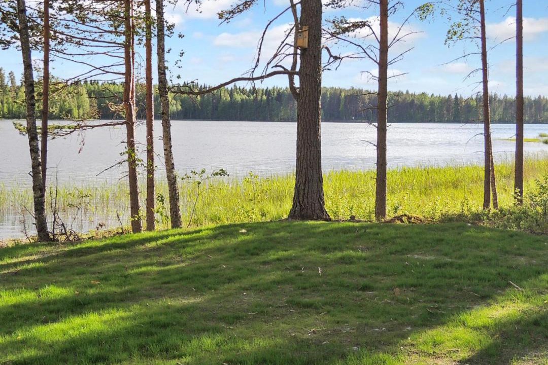 Photo of Others in Joensuu