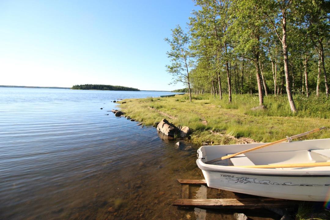 Photo of Others in Lapvaartti