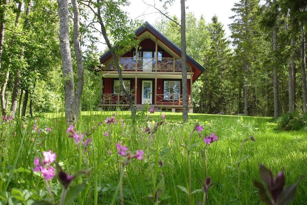 Photo of Others in Lapvaartti