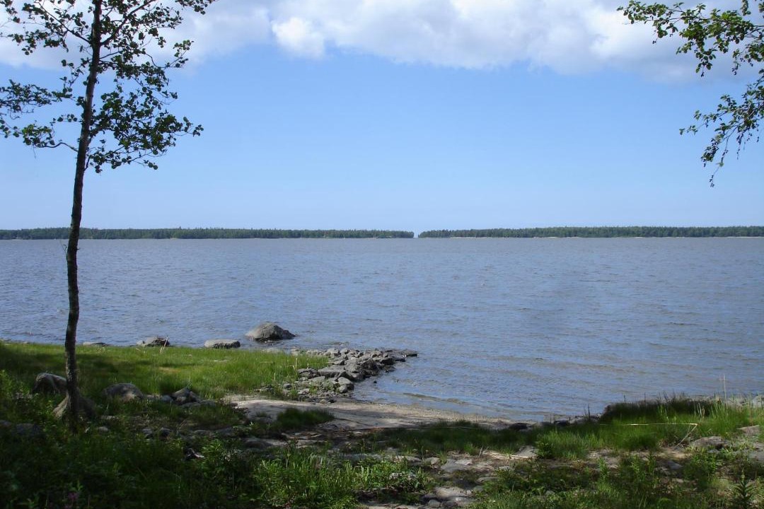 Photo of Others in Lapvaartti