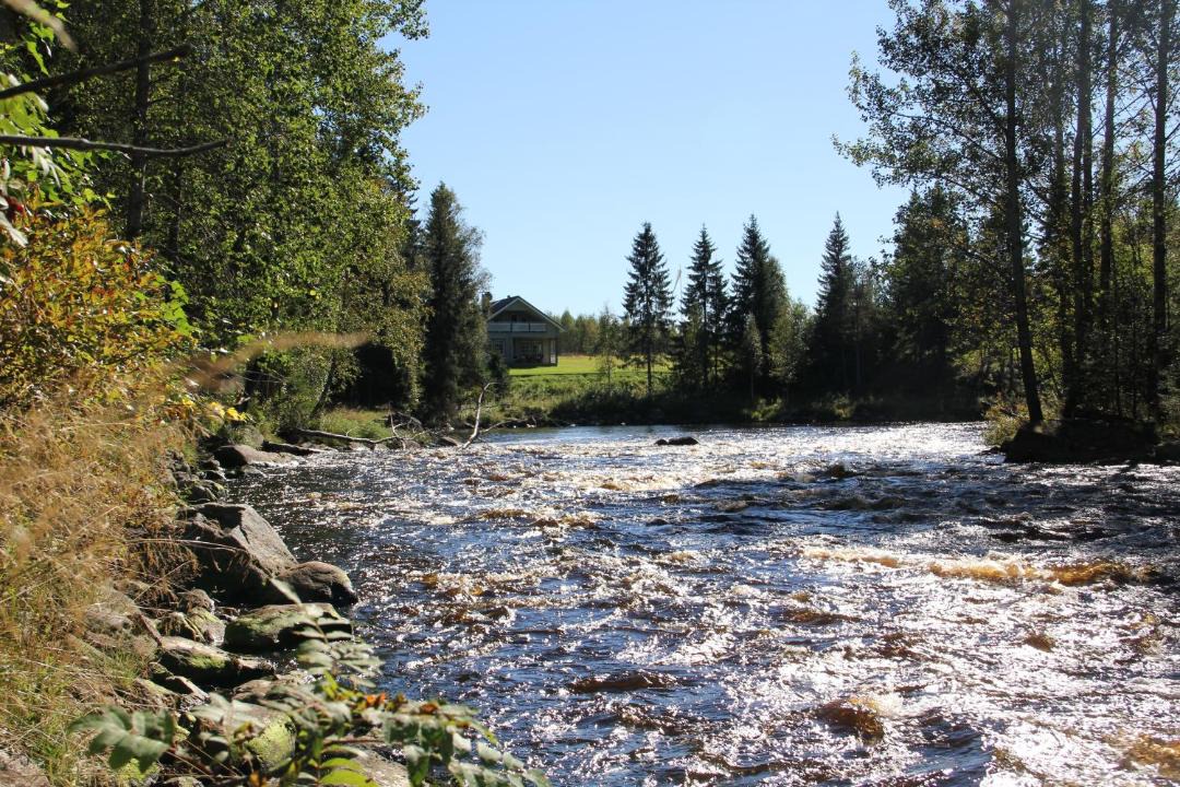 Photo of Others in Sonkajarvi