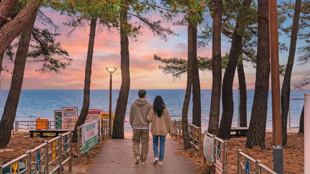 Photo of Others in Gangneung