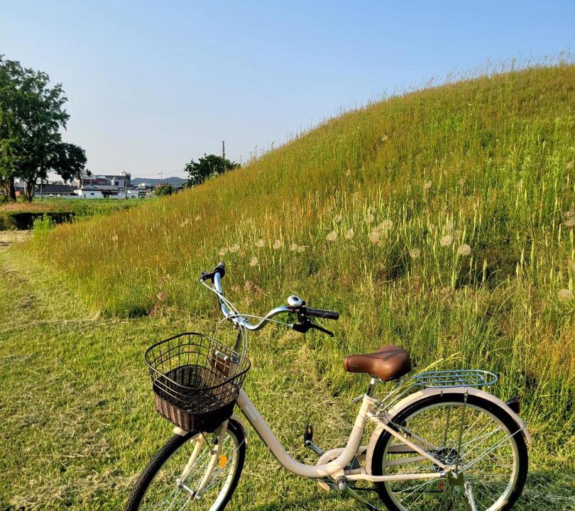 Photo of Others in Gyeongju