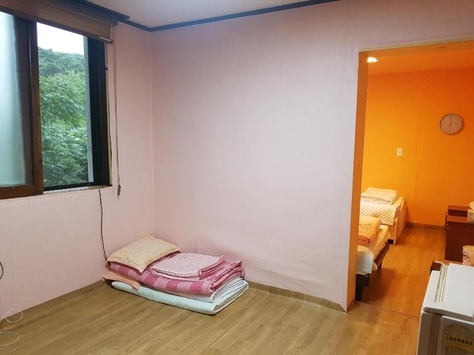Photo of Others in Sokcho