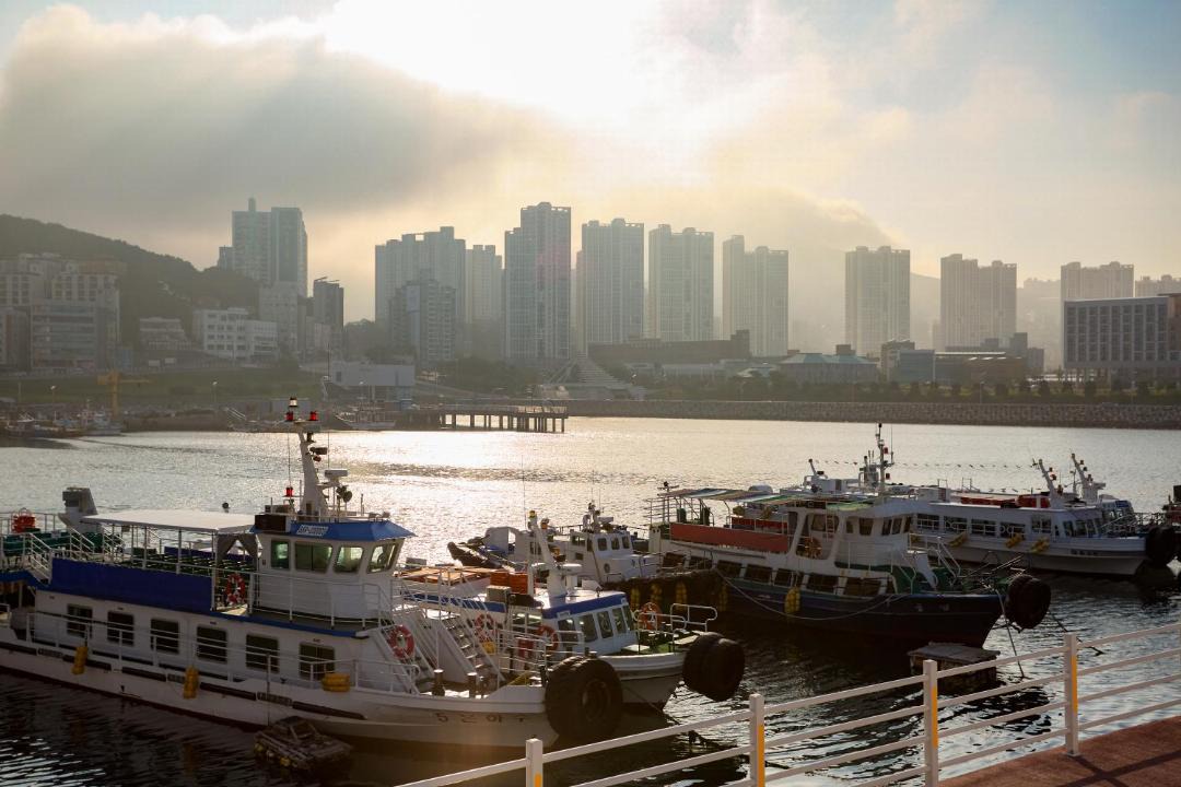 Photo of Others in Yeongdo