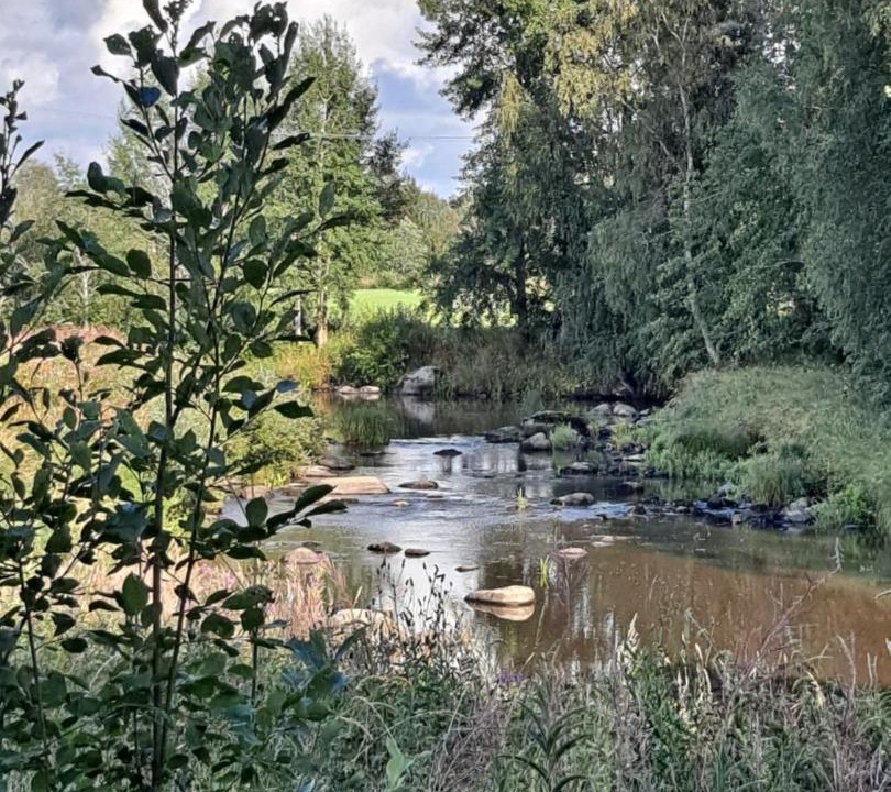 Photo of Others in Teuva