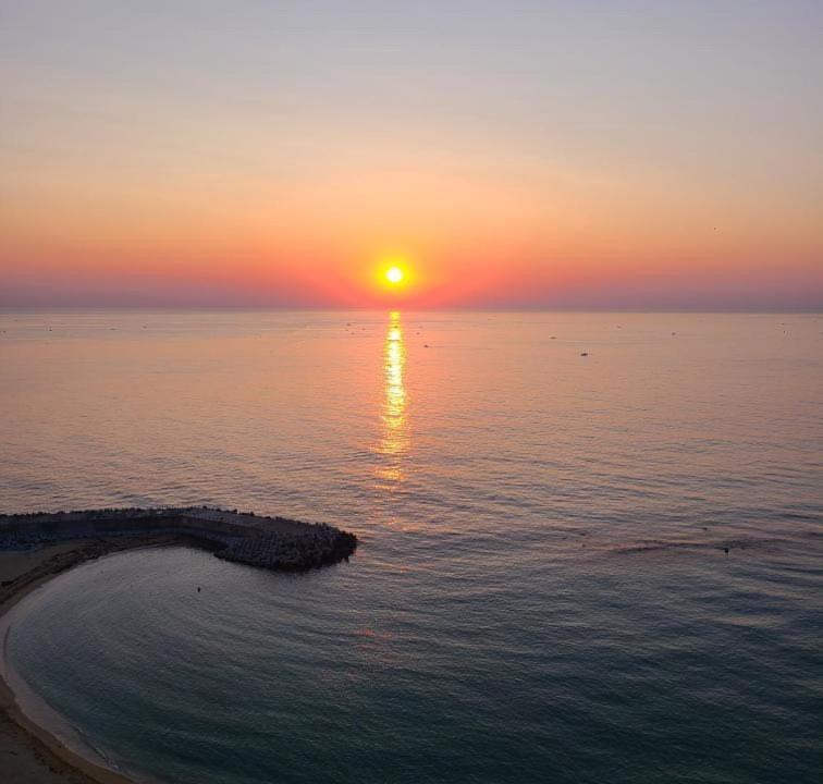 Photo of Others in Sokcho