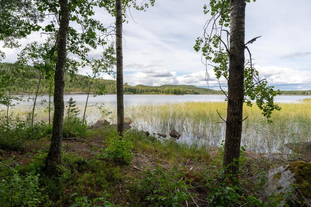 Photo of Others in Vaajakoski