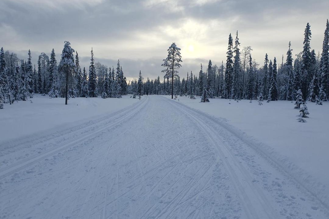Photo of Others in Syote