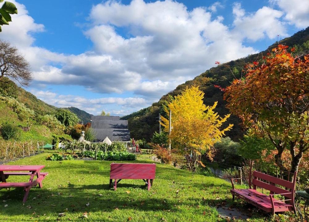 Photo of Others in Hwacheon